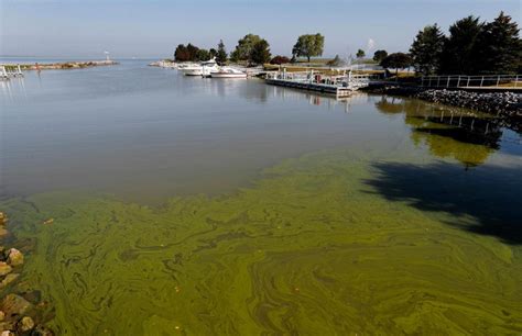 Judge sets a deadline to put Lake Erie on pollution diet